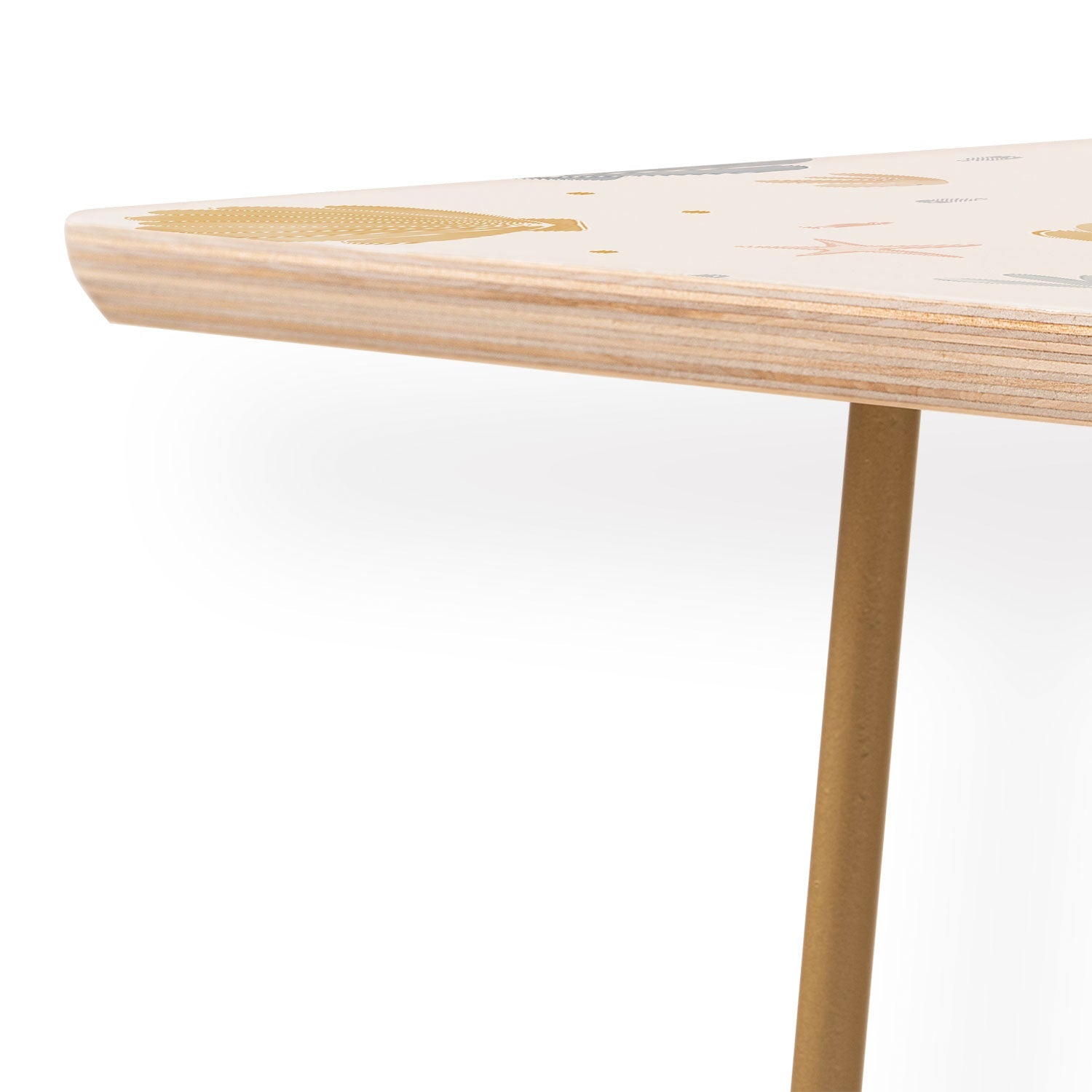 Menina Lisboa Shells and Starfish Coffee Table