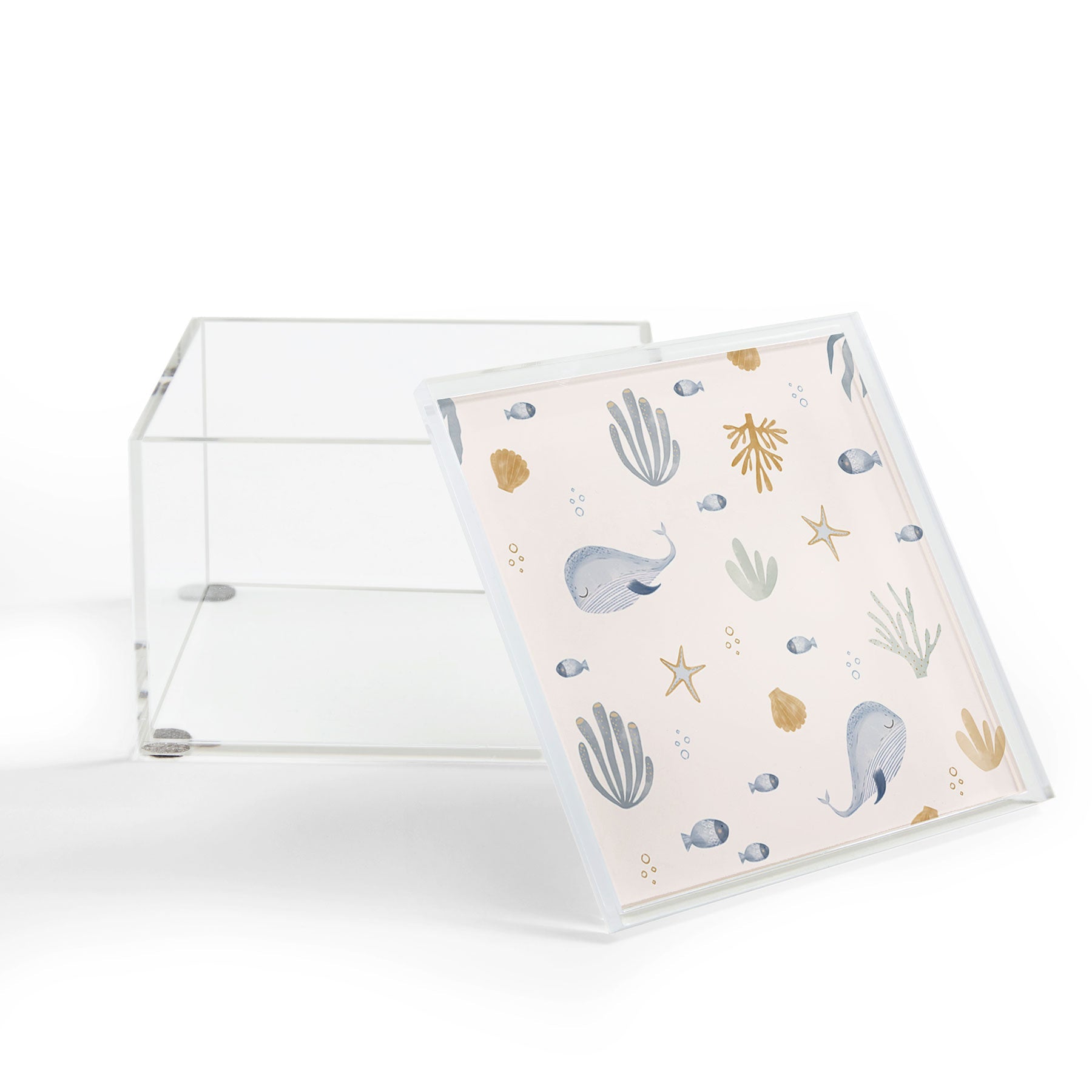 Menina Lisboa Under the Deep Sea Acrylic Box