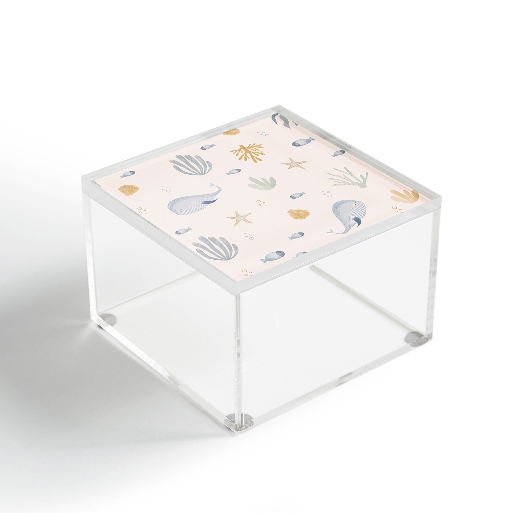 Menina Lisboa Under the Deep Sea Acrylic Box