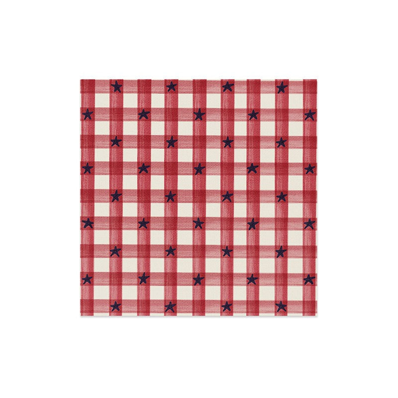 DENY Designs Red Gingham plus Stars Art Print