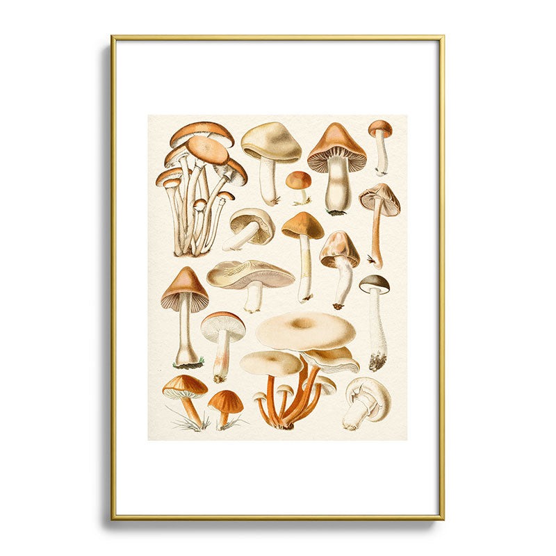 Gal Design Mushrooms Collection Metal Framed Art Print