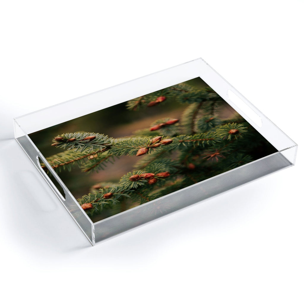 Hannah Kemp Spruce Tips Acrylic Tray