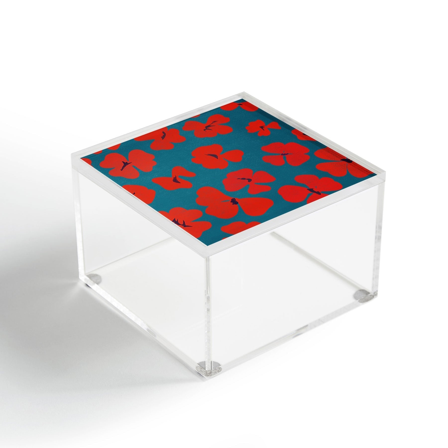 Garima Dhawan oxalis 1 Acrylic Box