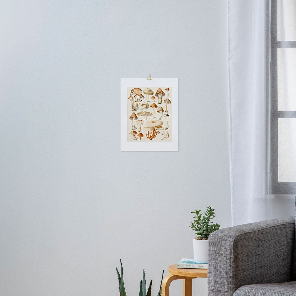 Gal Design Mushrooms Collection Art Print