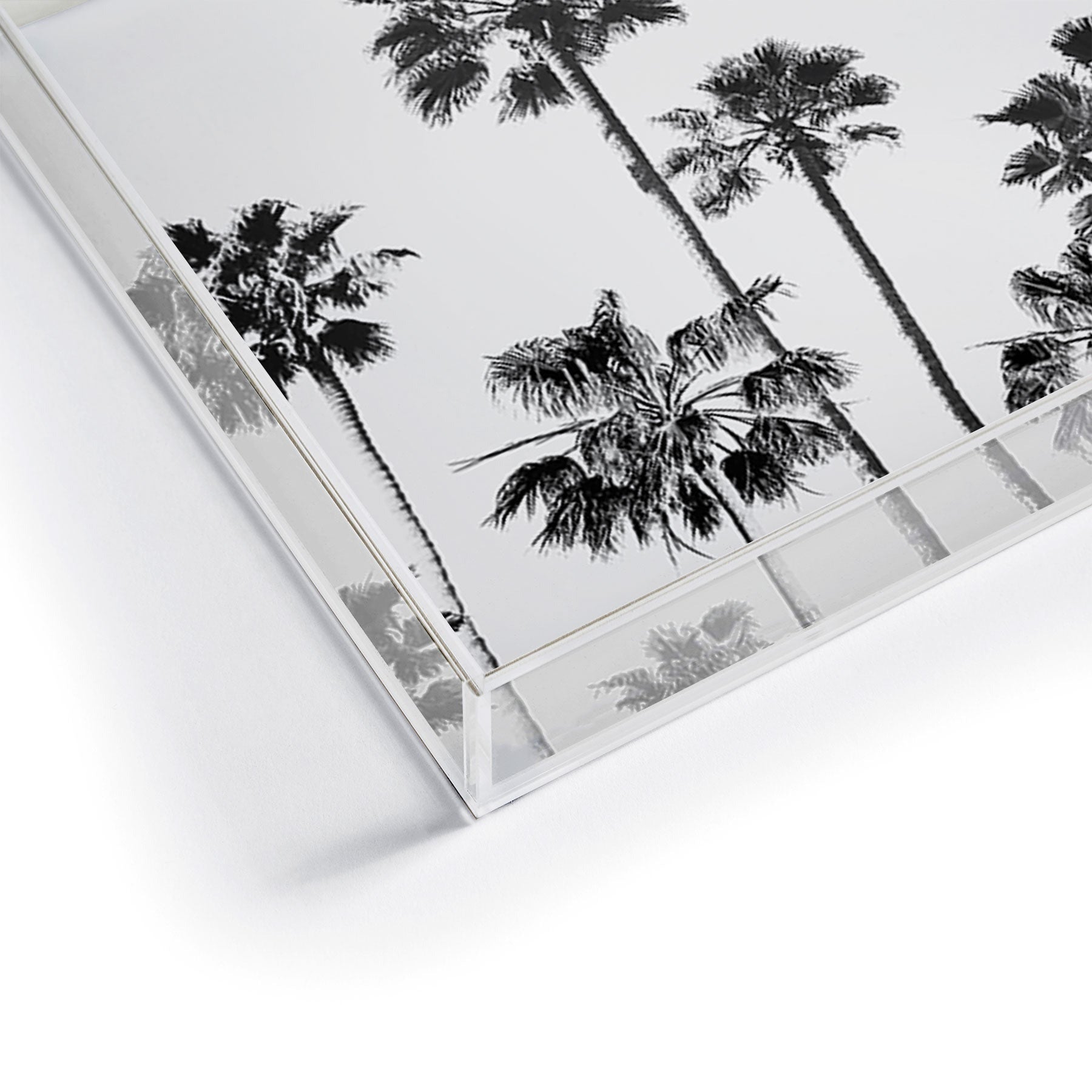 Gal Design Black And White Palms Acrylic Tray