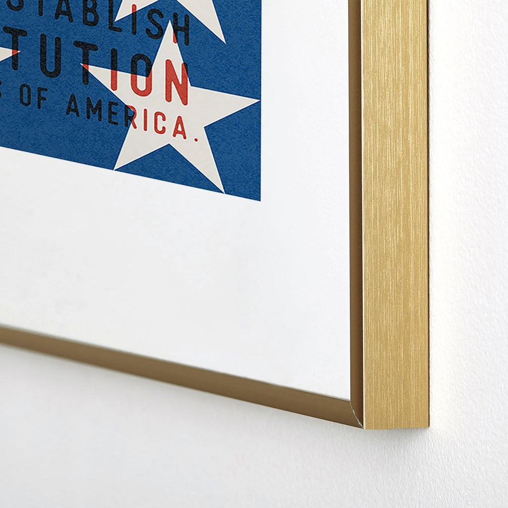 DENY Designs Starred Preamble Metal Framed Art Print