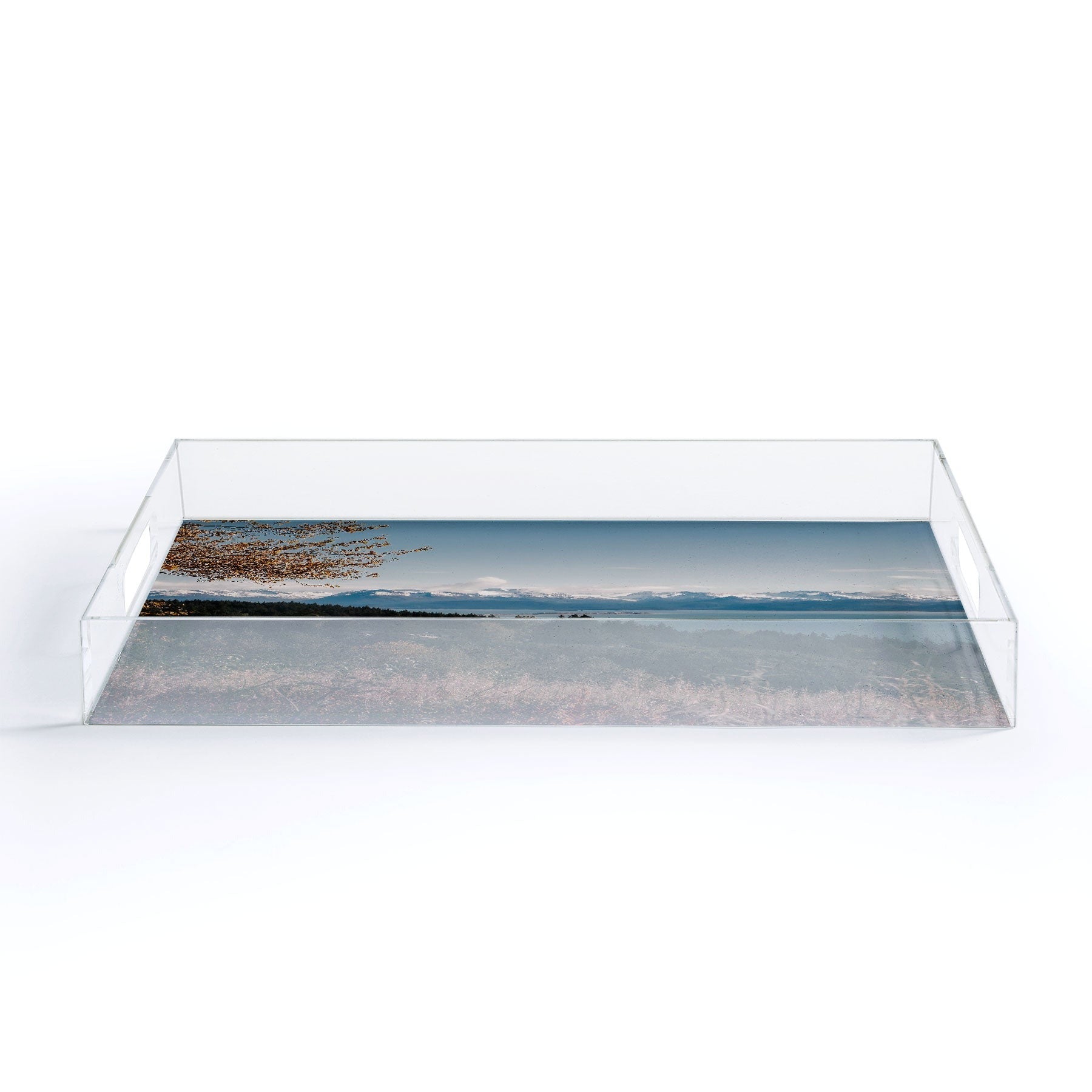 Hannah Kemp Homer Acrylic Tray
