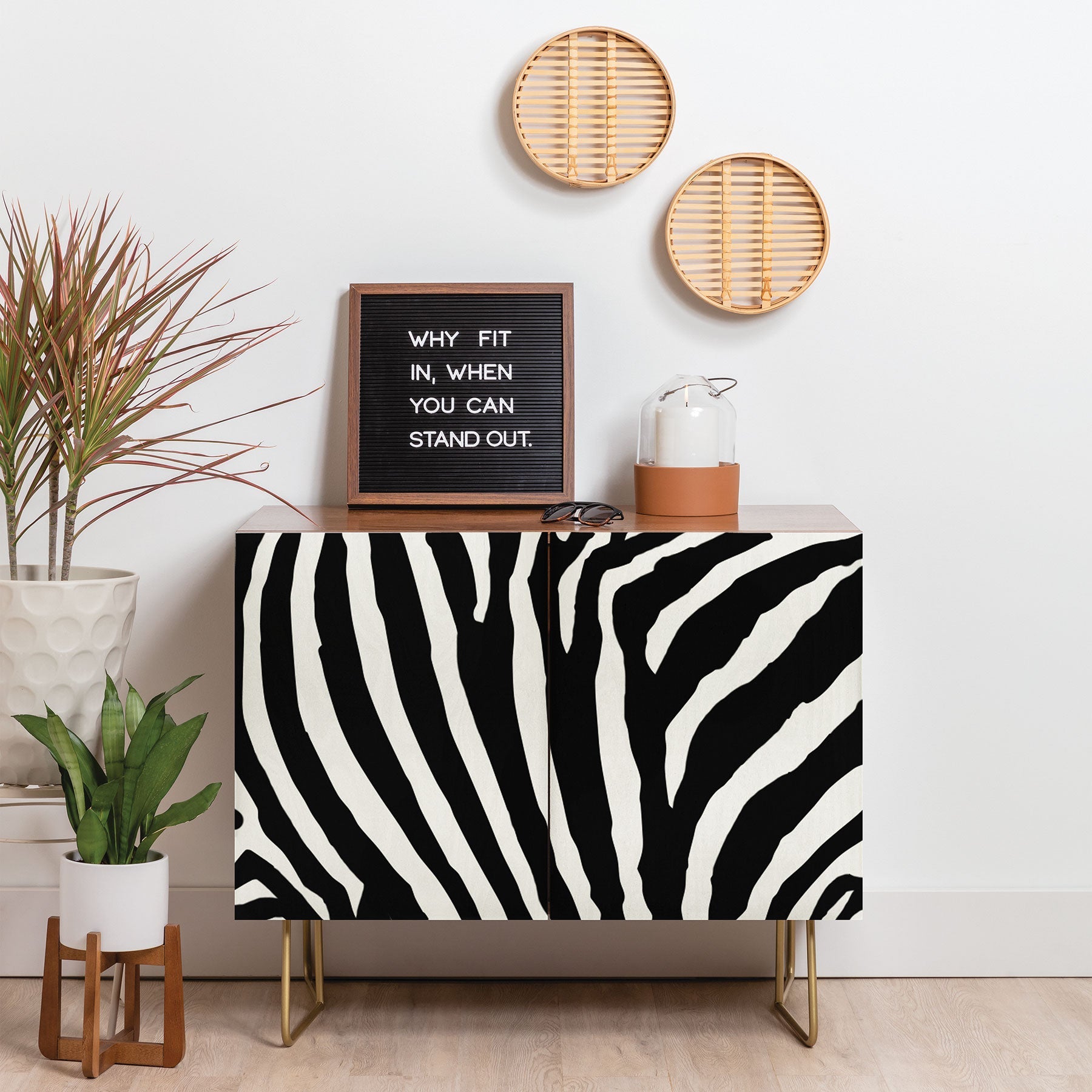 Natalie Baca Zebra Stripes Credenza