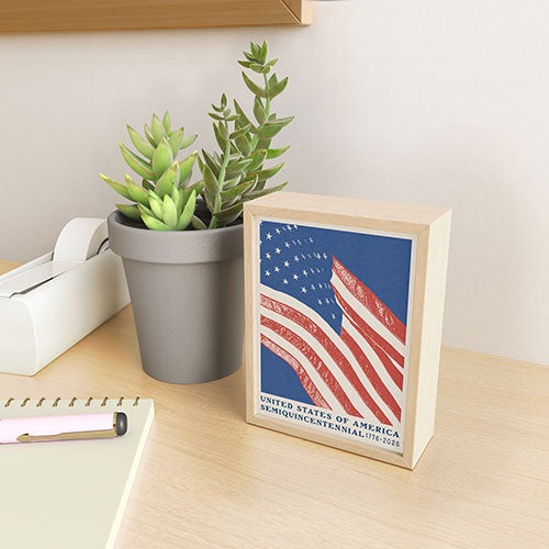 DENY Designs Stars n Stripes Semiquincentennial Framed Mini Art Print
