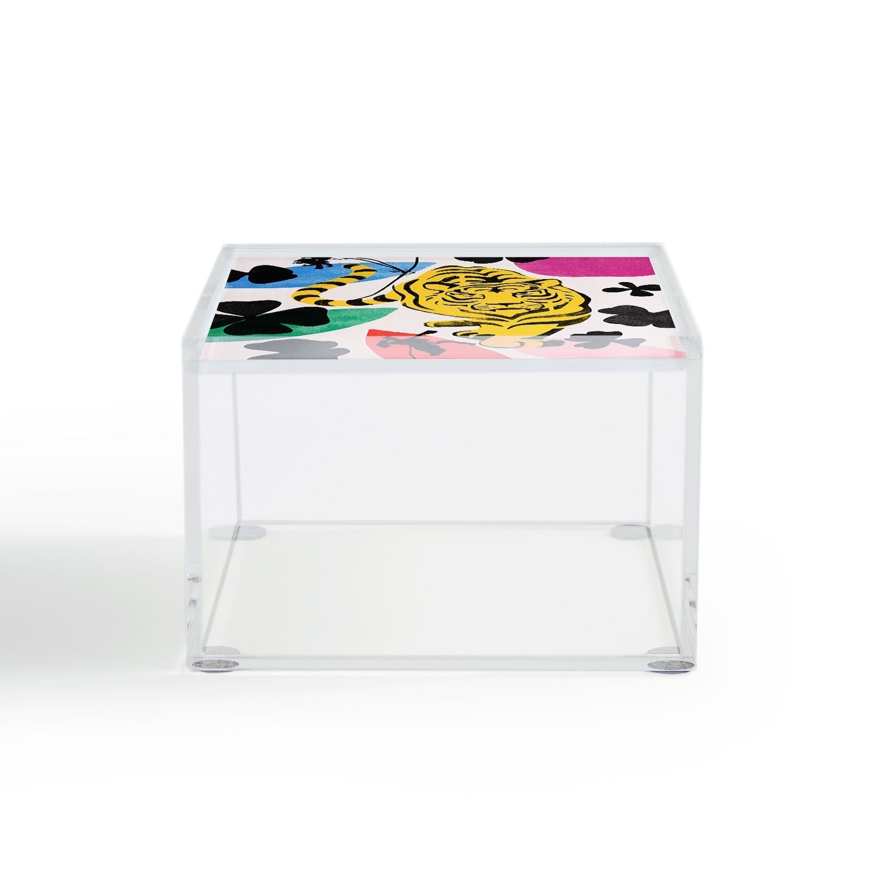 Garima Dhawan wild 3 Acrylic Box