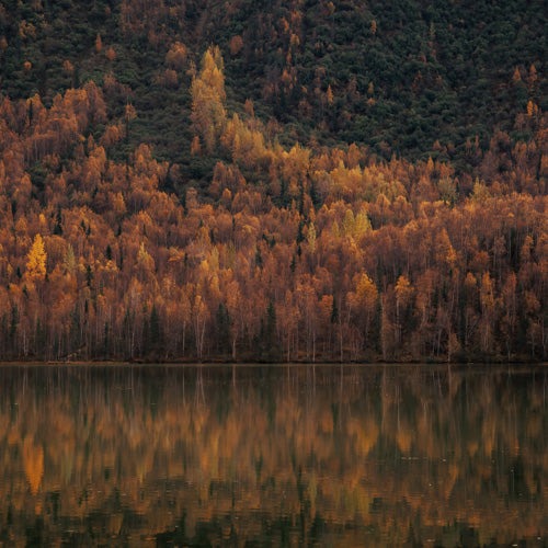 Hannah Kemp Fall Lake Shower Curtain