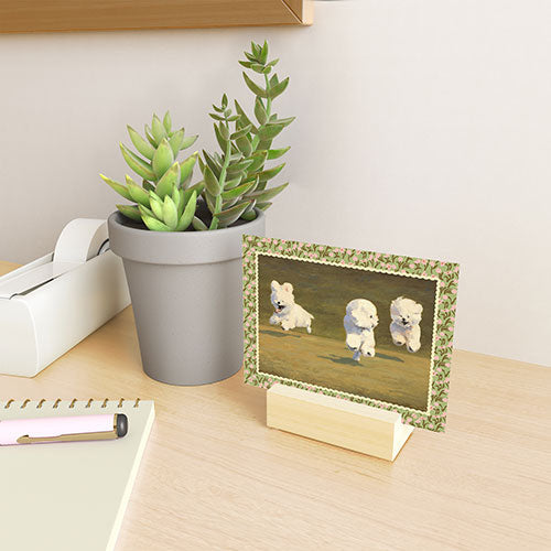 NKTN Three Dogs Running Mini Art Print