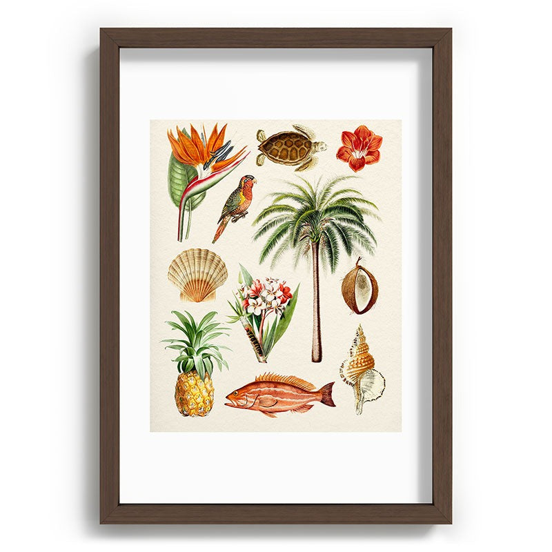 Gal Design Hawaii Collection Recessed Framing Rectangle