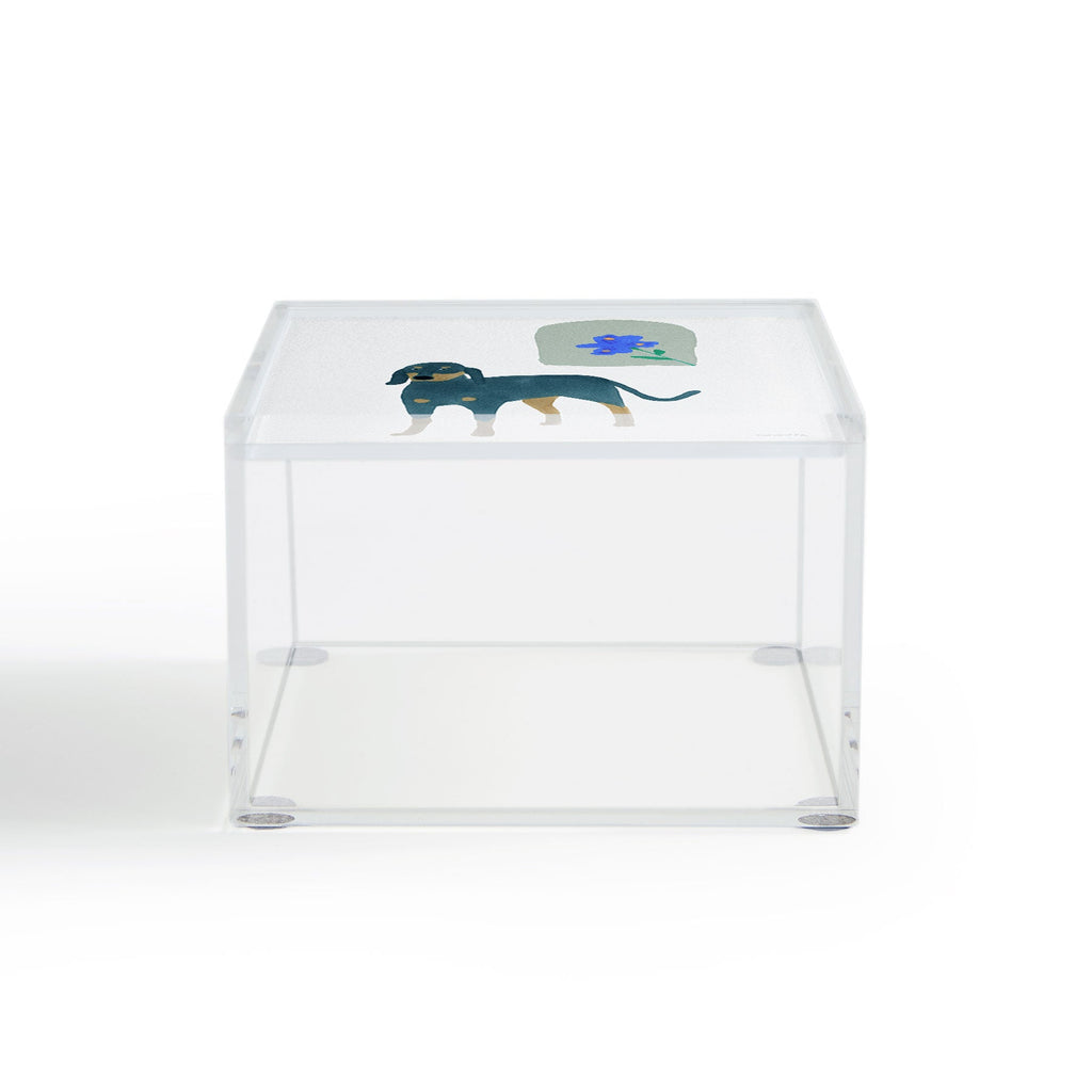 norarikka Dog and a Mini HalfRound Window Acrylic Box