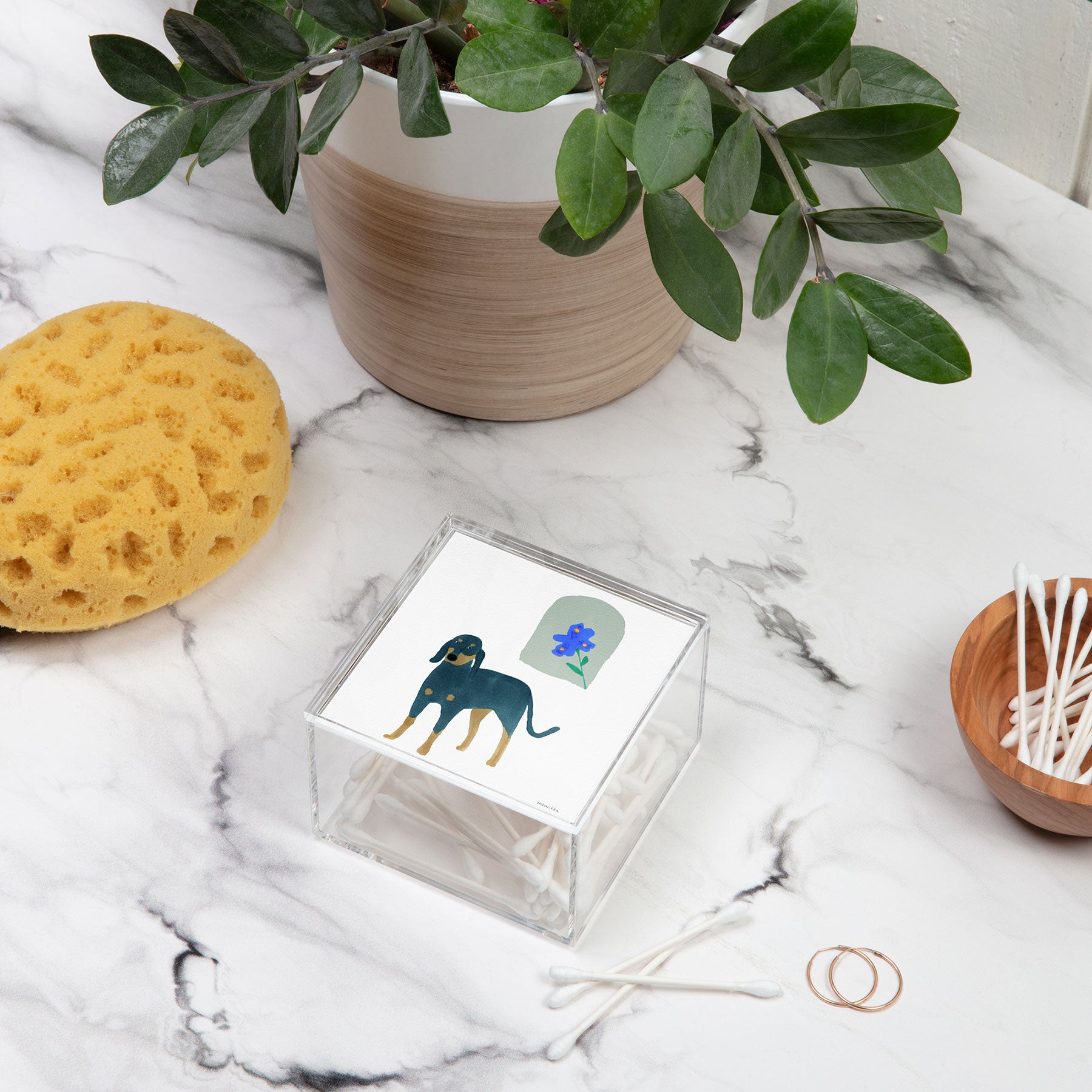 norarikka Dog and a Mini HalfRound Window Acrylic Box