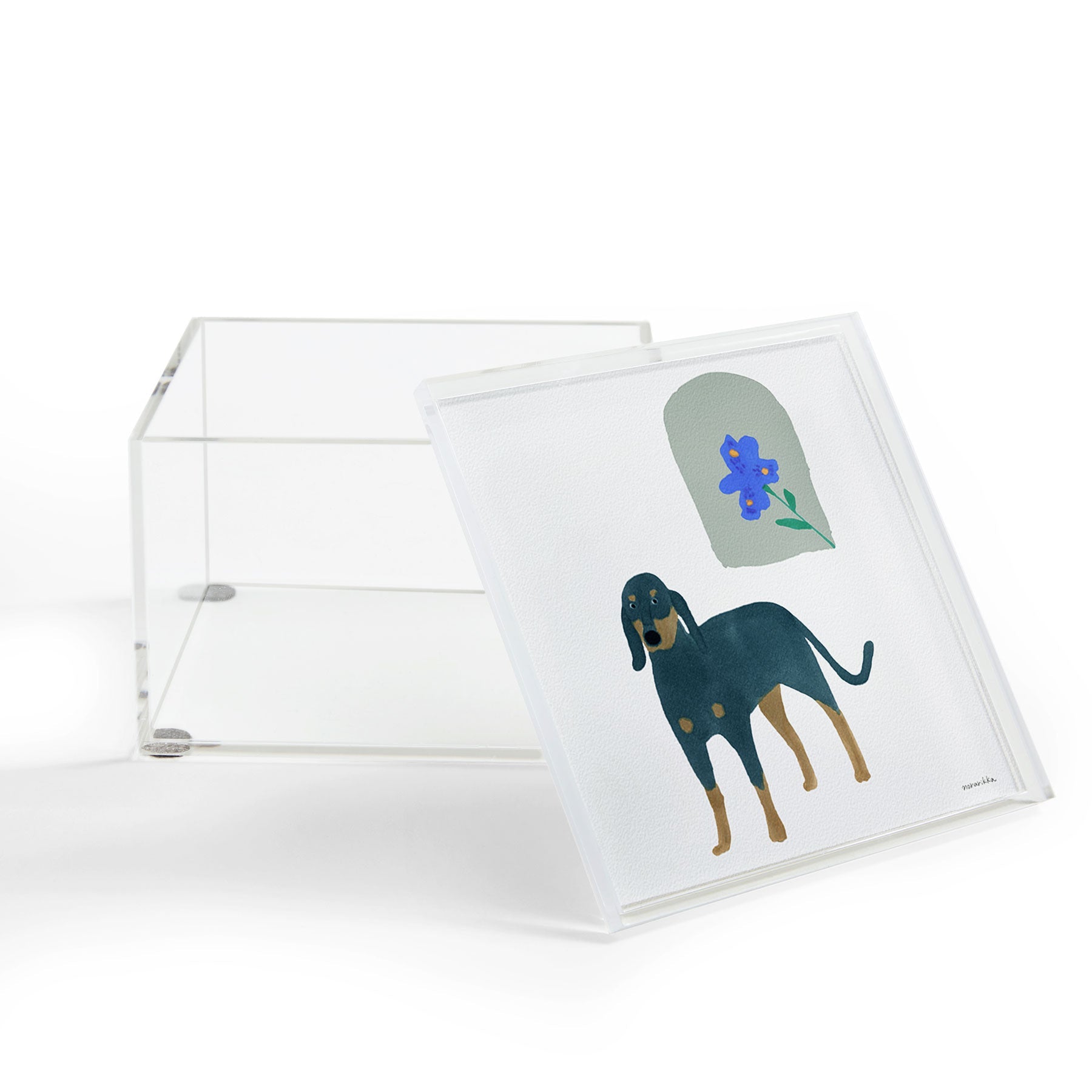norarikka Dog and a Mini HalfRound Window Acrylic Box