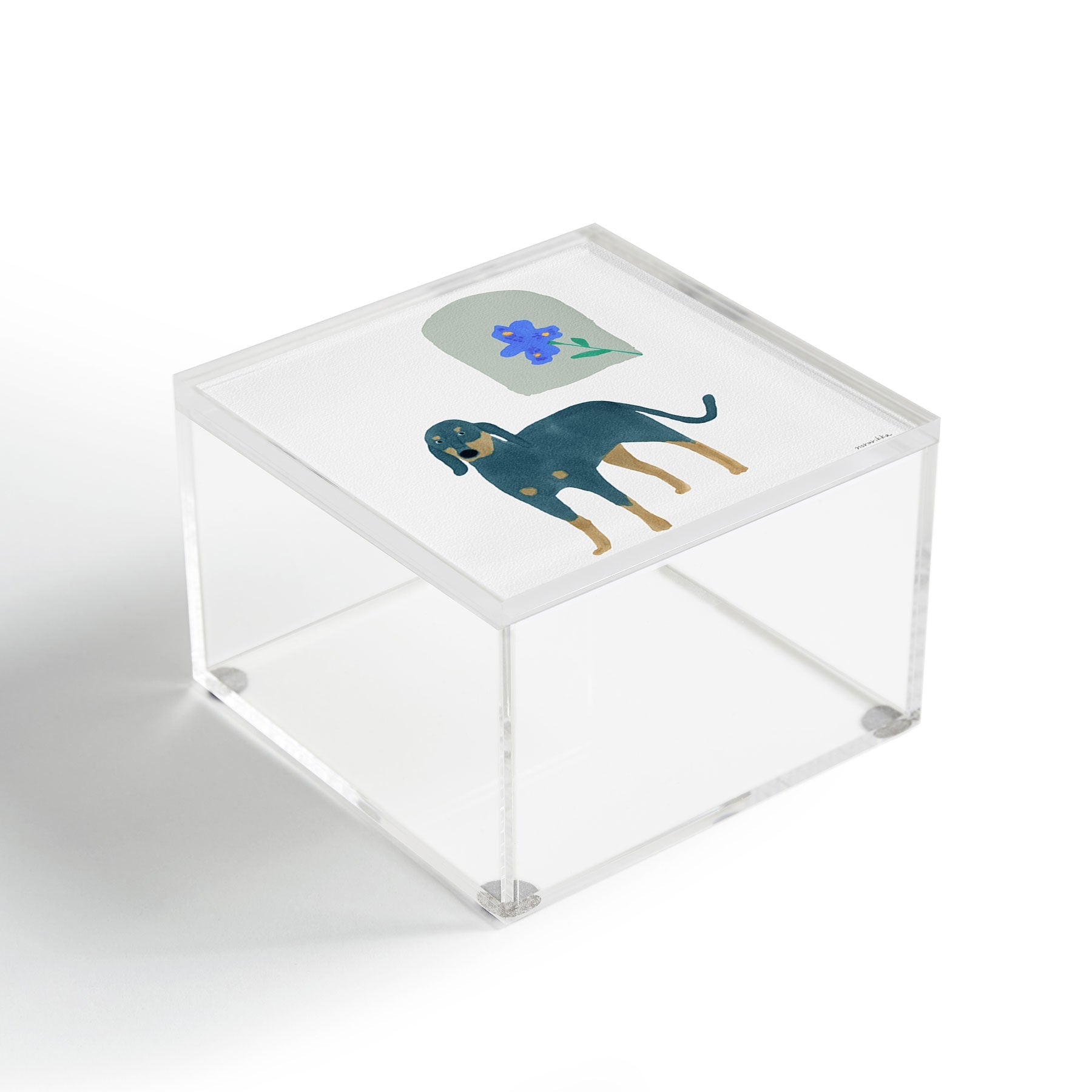 norarikka Dog and a Mini HalfRound Window Acrylic Box