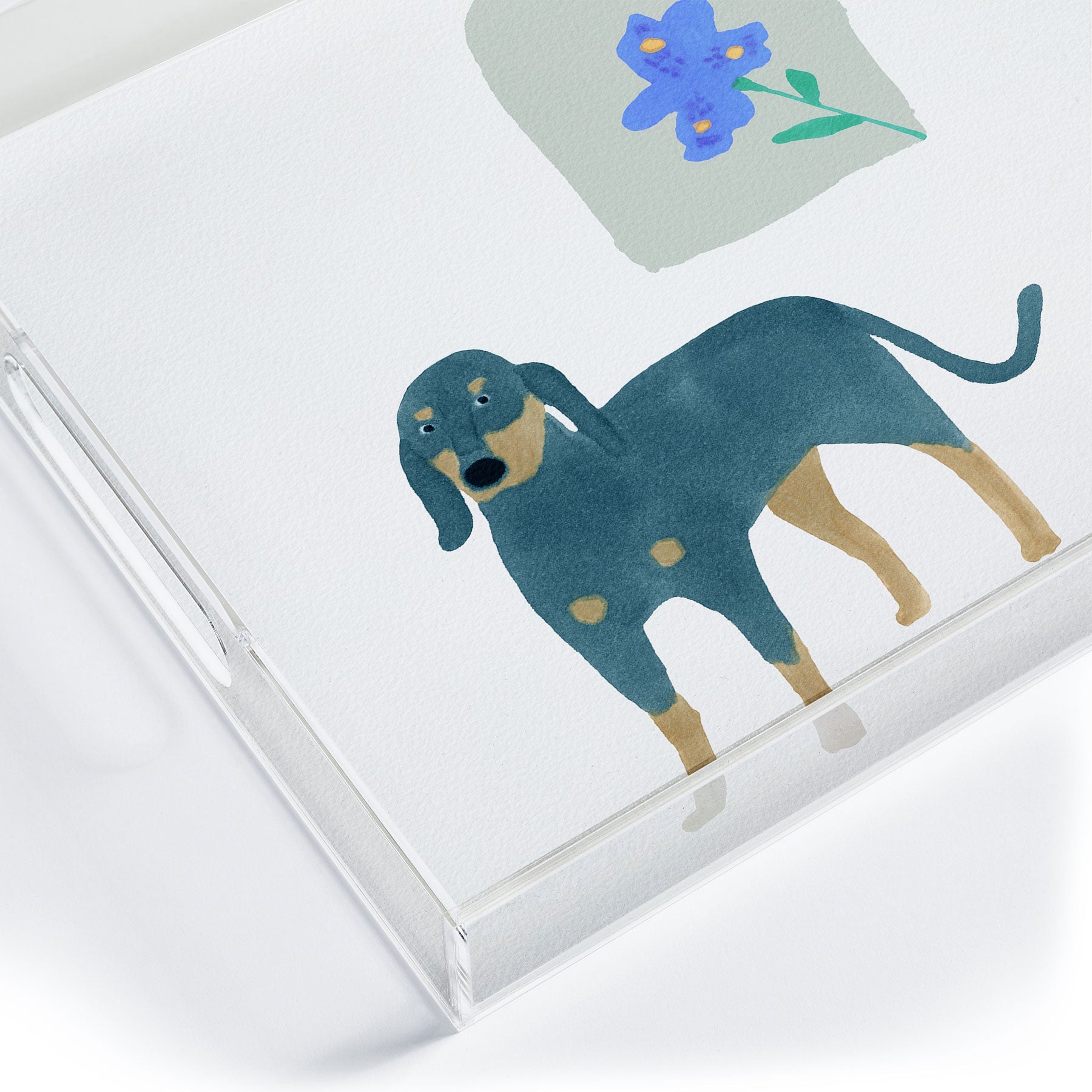 norarikka Dog and a Mini HalfRound Window Acrylic Tray
