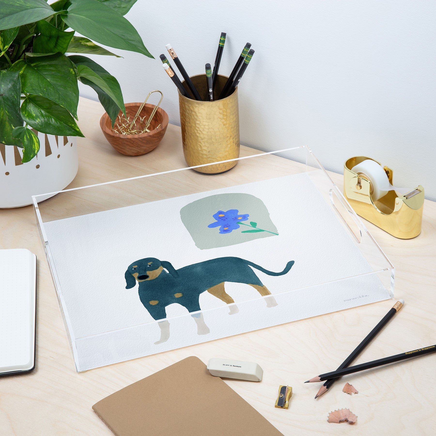norarikka Dog and a Mini HalfRound Window Acrylic Tray
