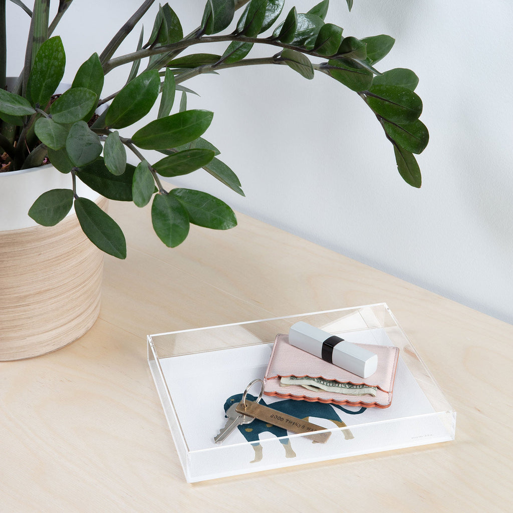 norarikka Dog and a Mini HalfRound Window Acrylic Tray