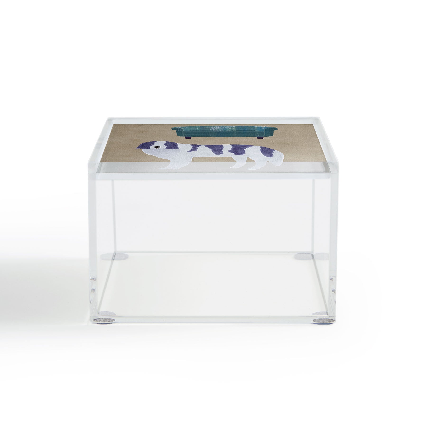 norarikka Dog and a Sofa Purple and Beige Acrylic Box