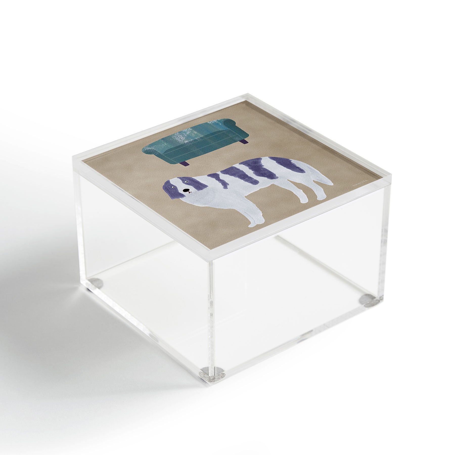 norarikka Dog and a Sofa Purple and Beige Acrylic Box