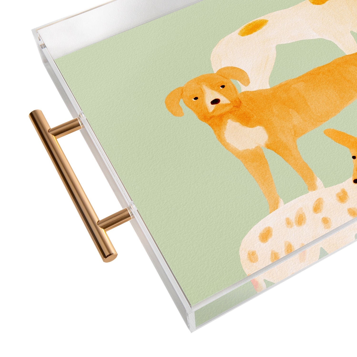 norarikka Three Dogs Lined Up Acrylic Tray