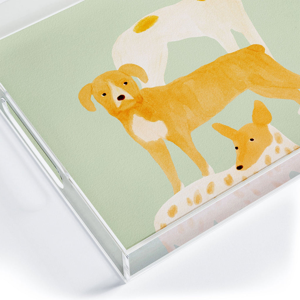 norarikka Three Dogs Lined Up Acrylic Tray