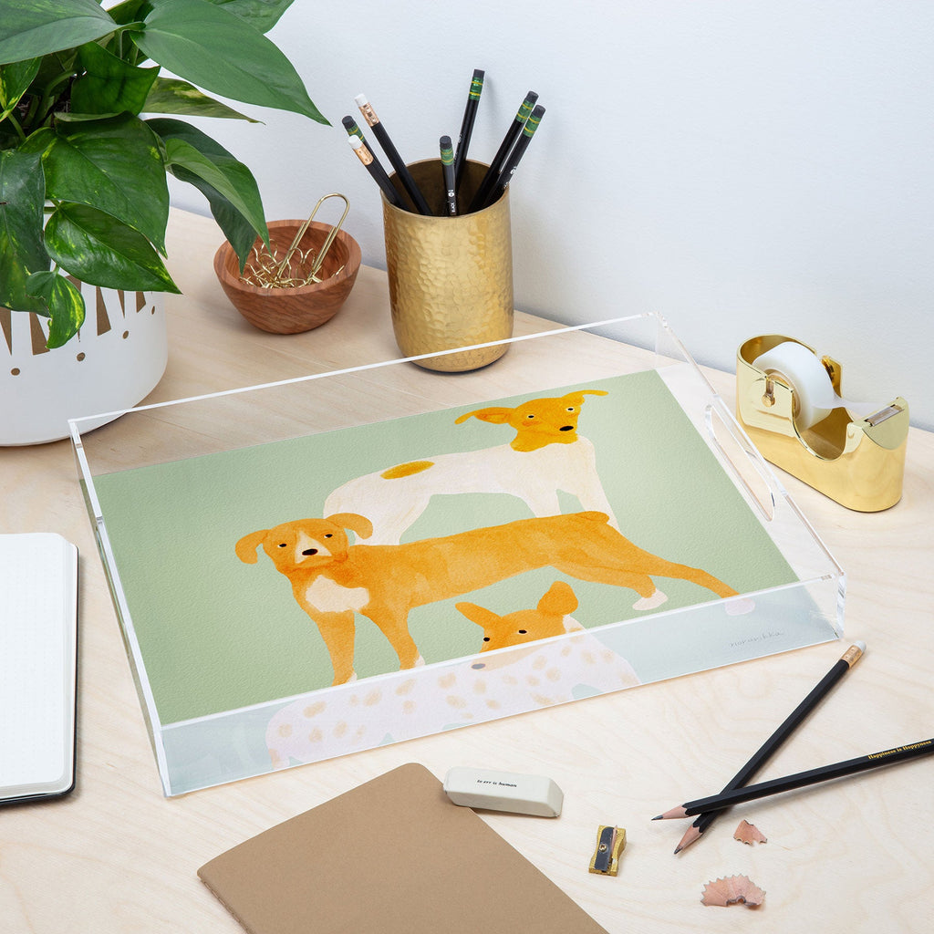 norarikka Three Dogs Lined Up Acrylic Tray