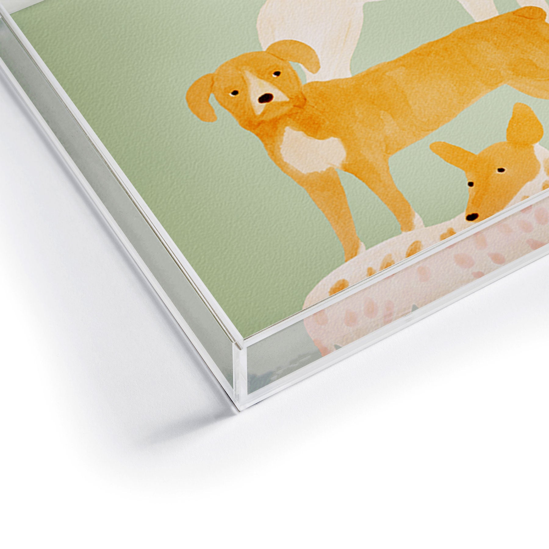 norarikka Three Dogs Lined Up Acrylic Tray