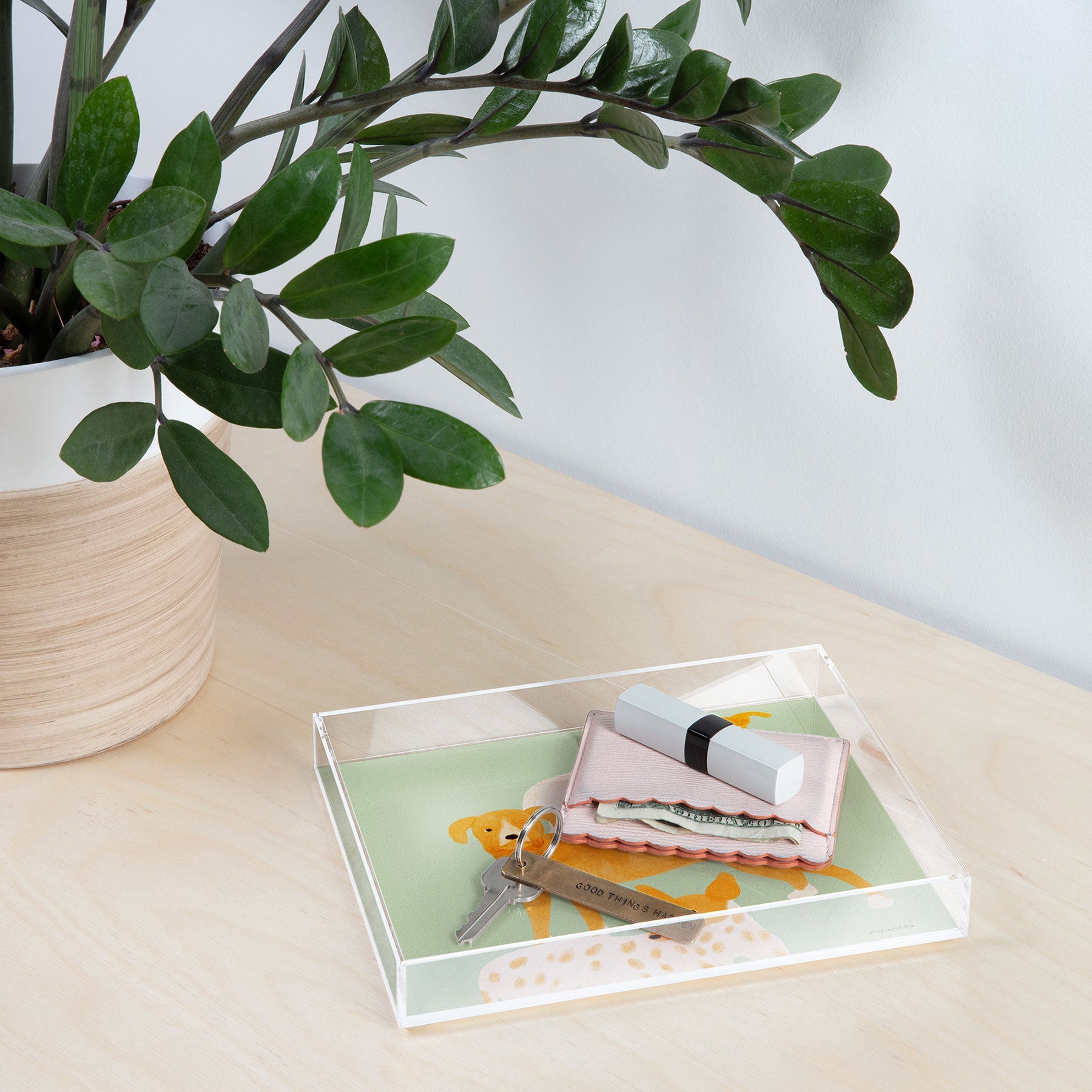 norarikka Three Dogs Lined Up Acrylic Tray
