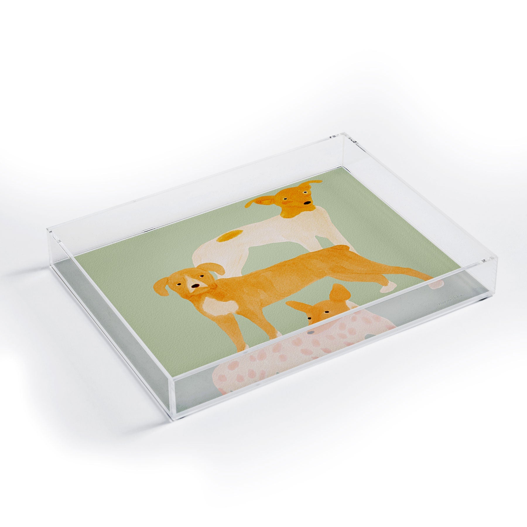 norarikka Three Dogs Lined Up Acrylic Tray