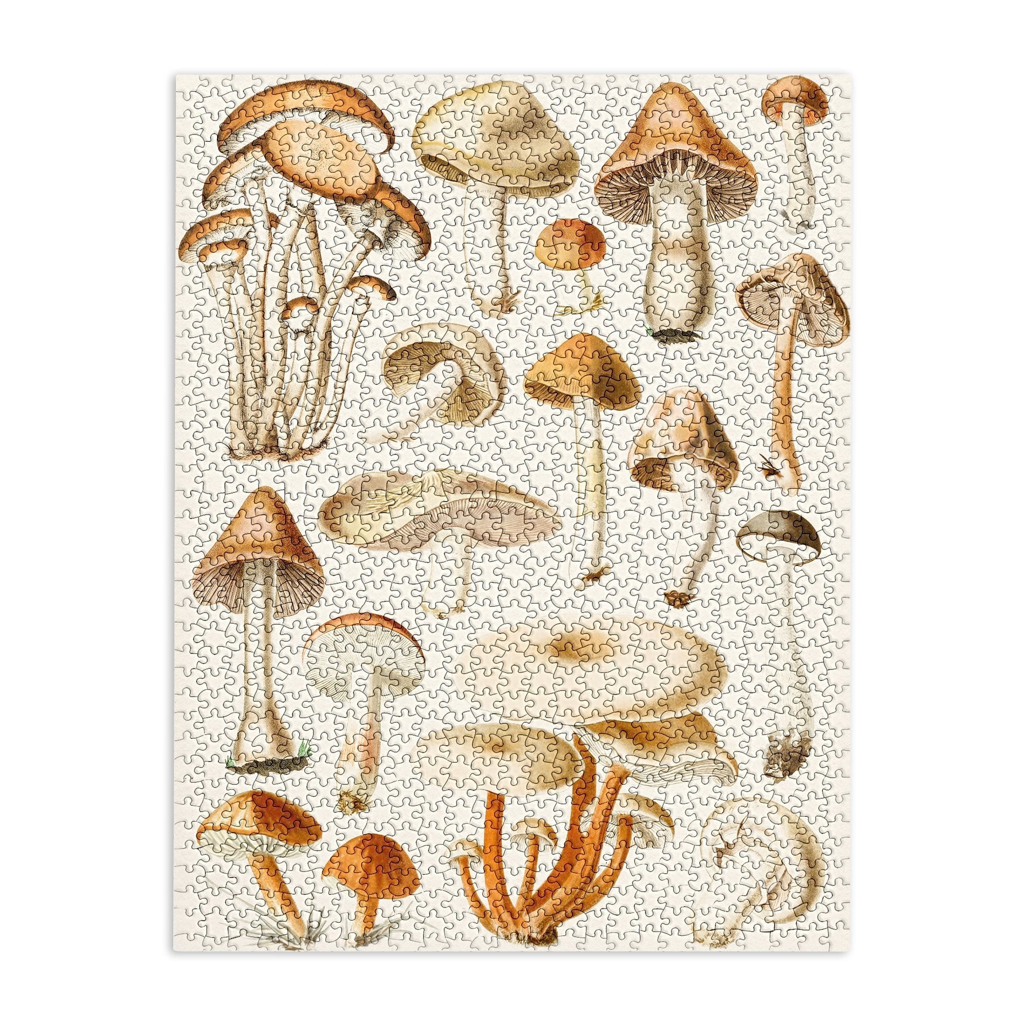 Gal Design Mushrooms Collection Puzzle