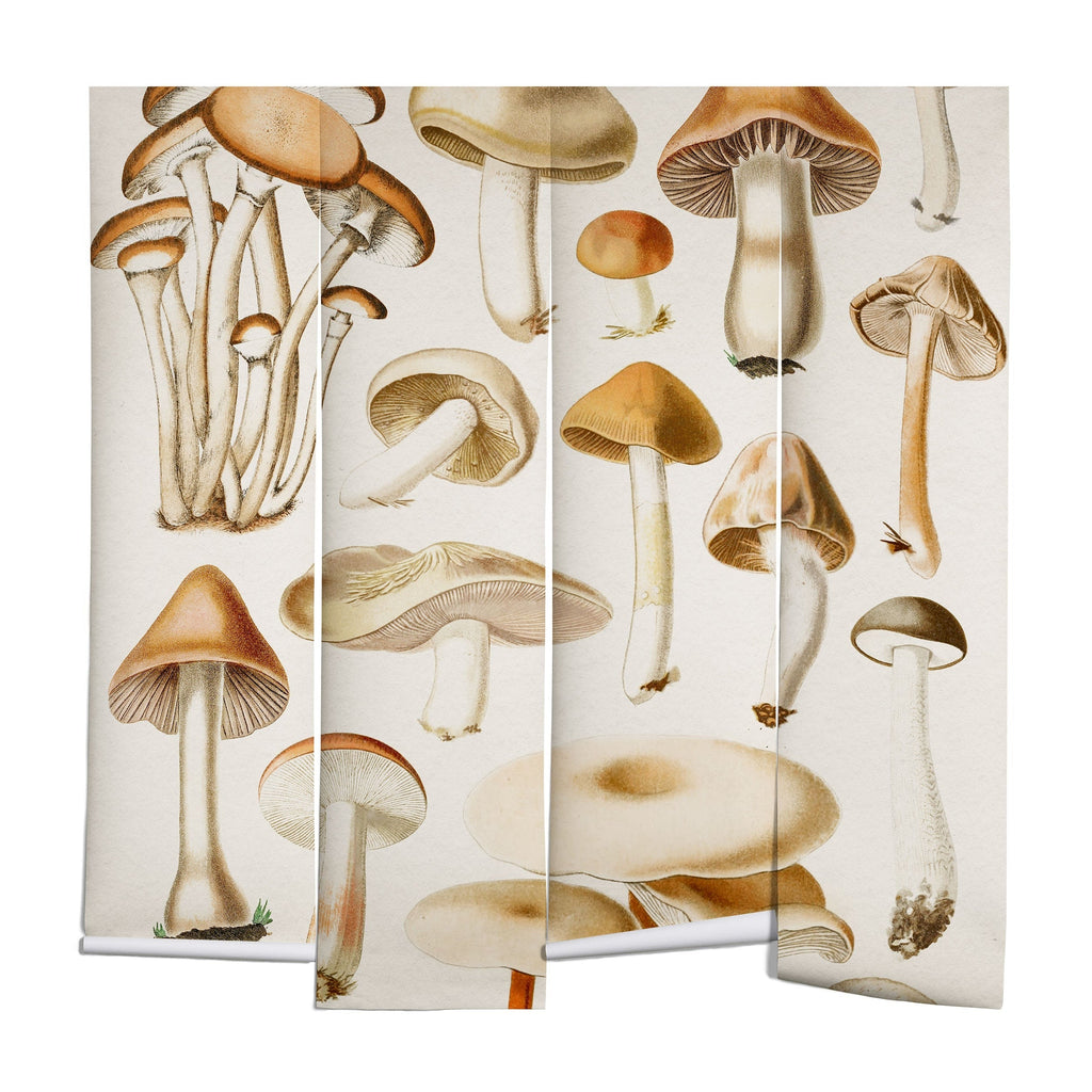 Gal Design Mushrooms Collection Wall Mural