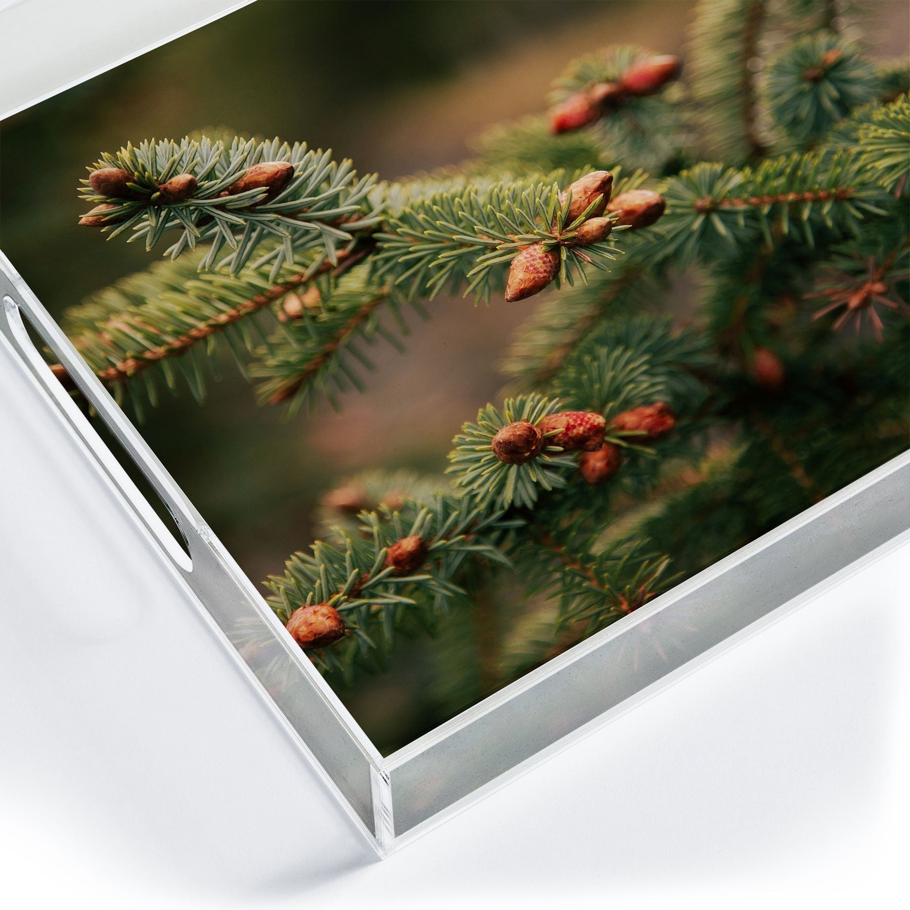 Hannah Kemp Spruce Tips Acrylic Tray