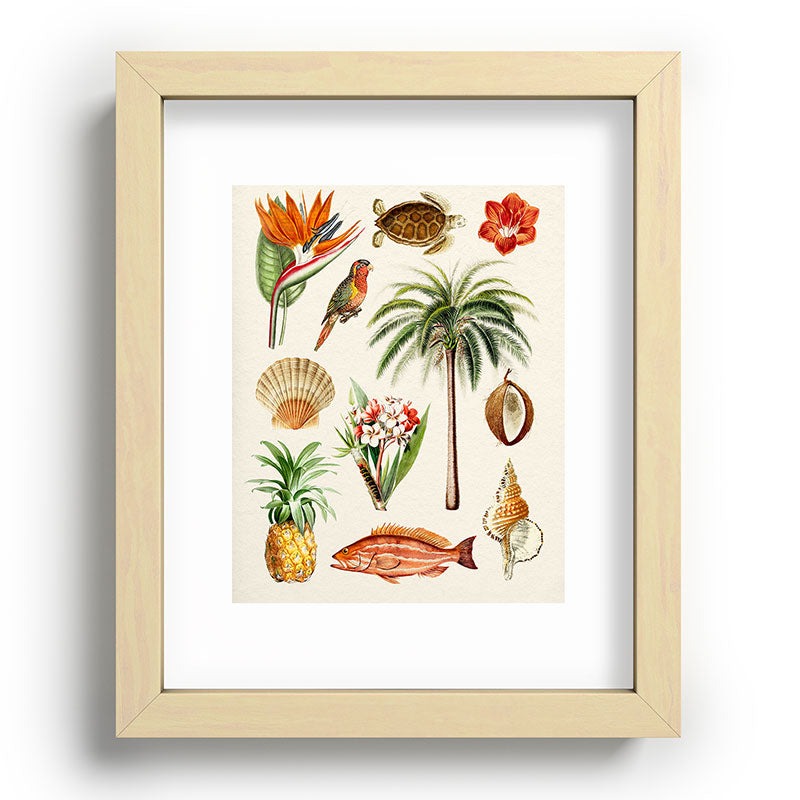 Gal Design Hawaii Collection Recessed Framing Rectangle