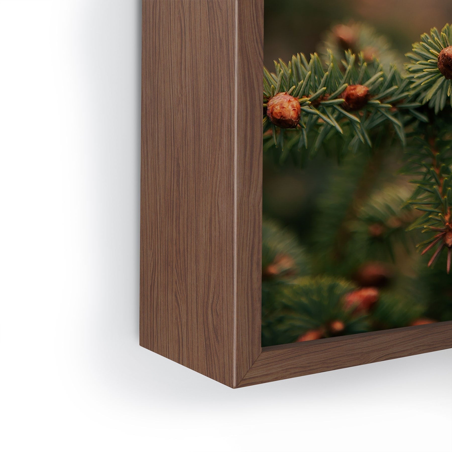Hannah Kemp Spruce Tips Framed Mini Art Print