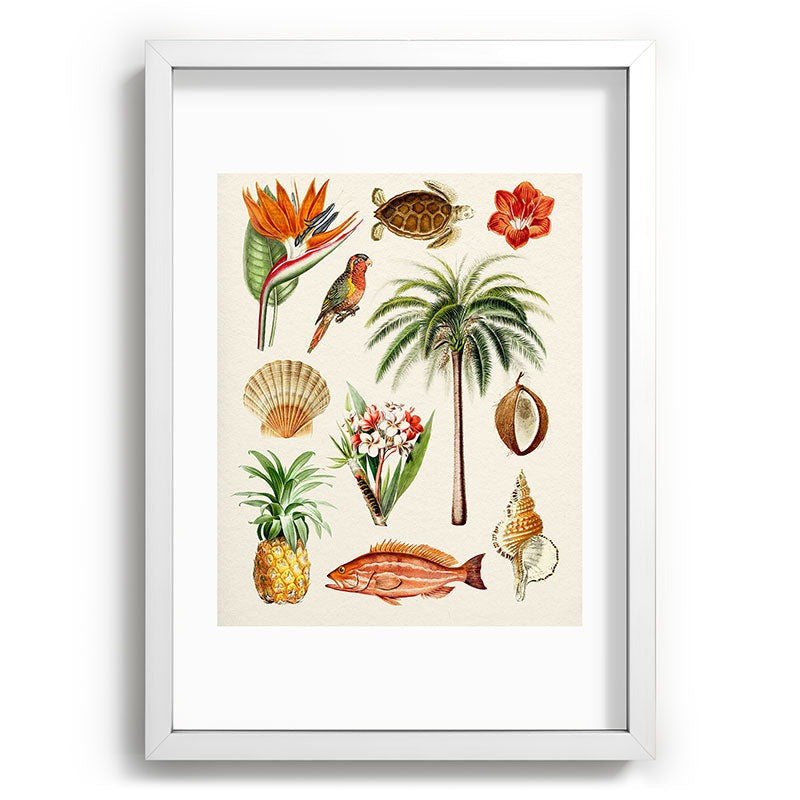 Gal Design Hawaii Collection Recessed Framing Rectangle