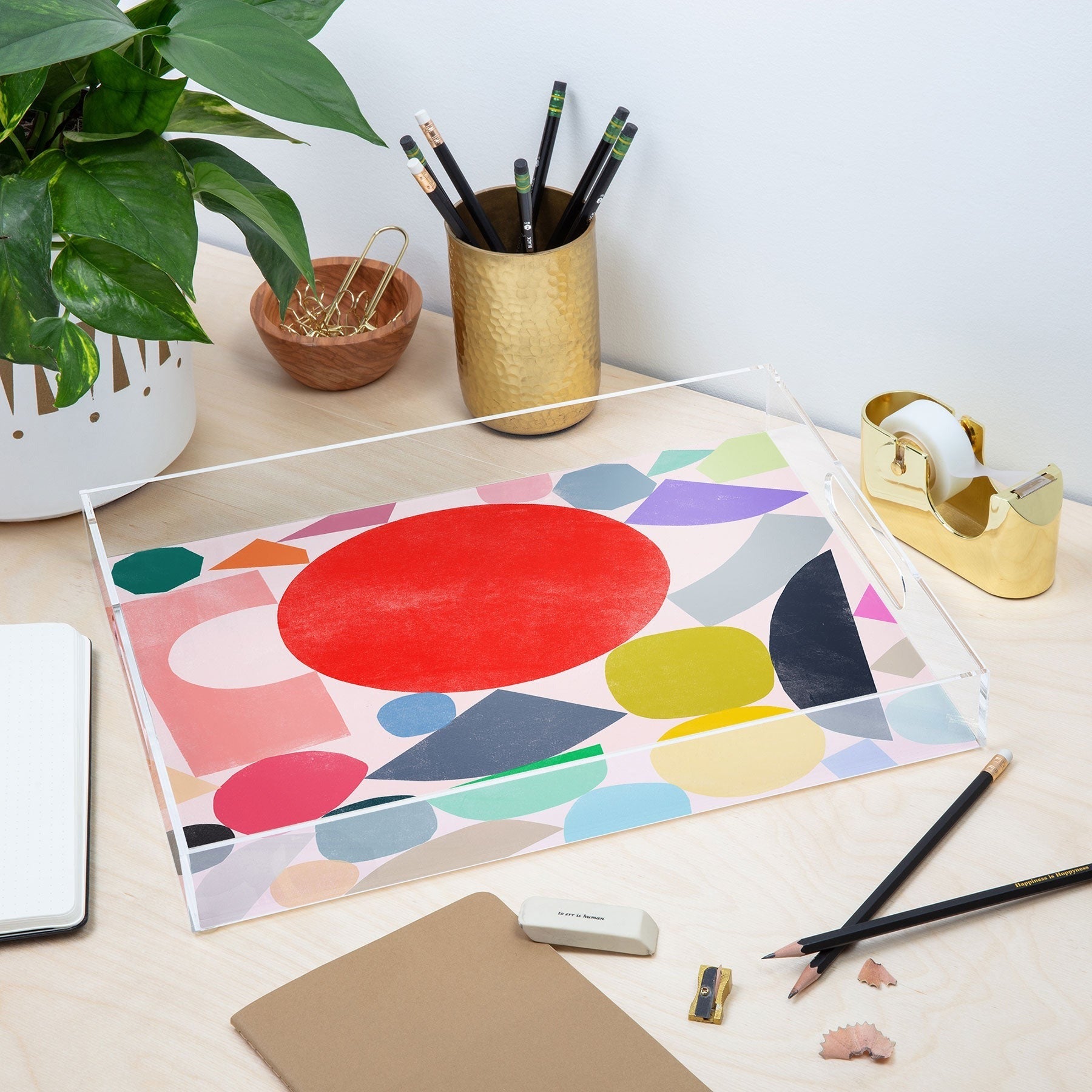 Garima Dhawan Colored Toys 4 Acrylic Tray