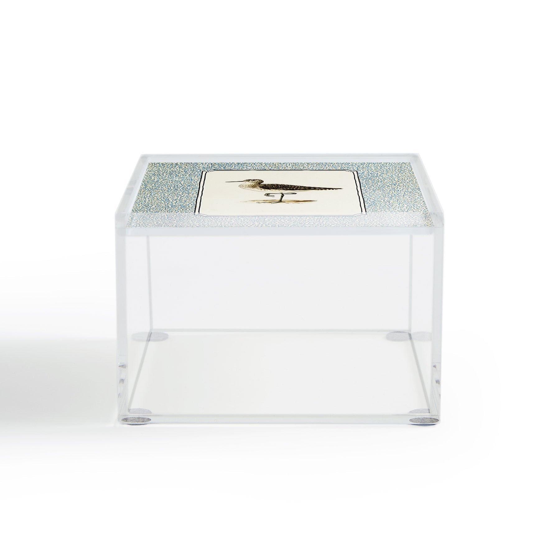 Oh Fine! Art Balancing Sandpiper Acrylic Box