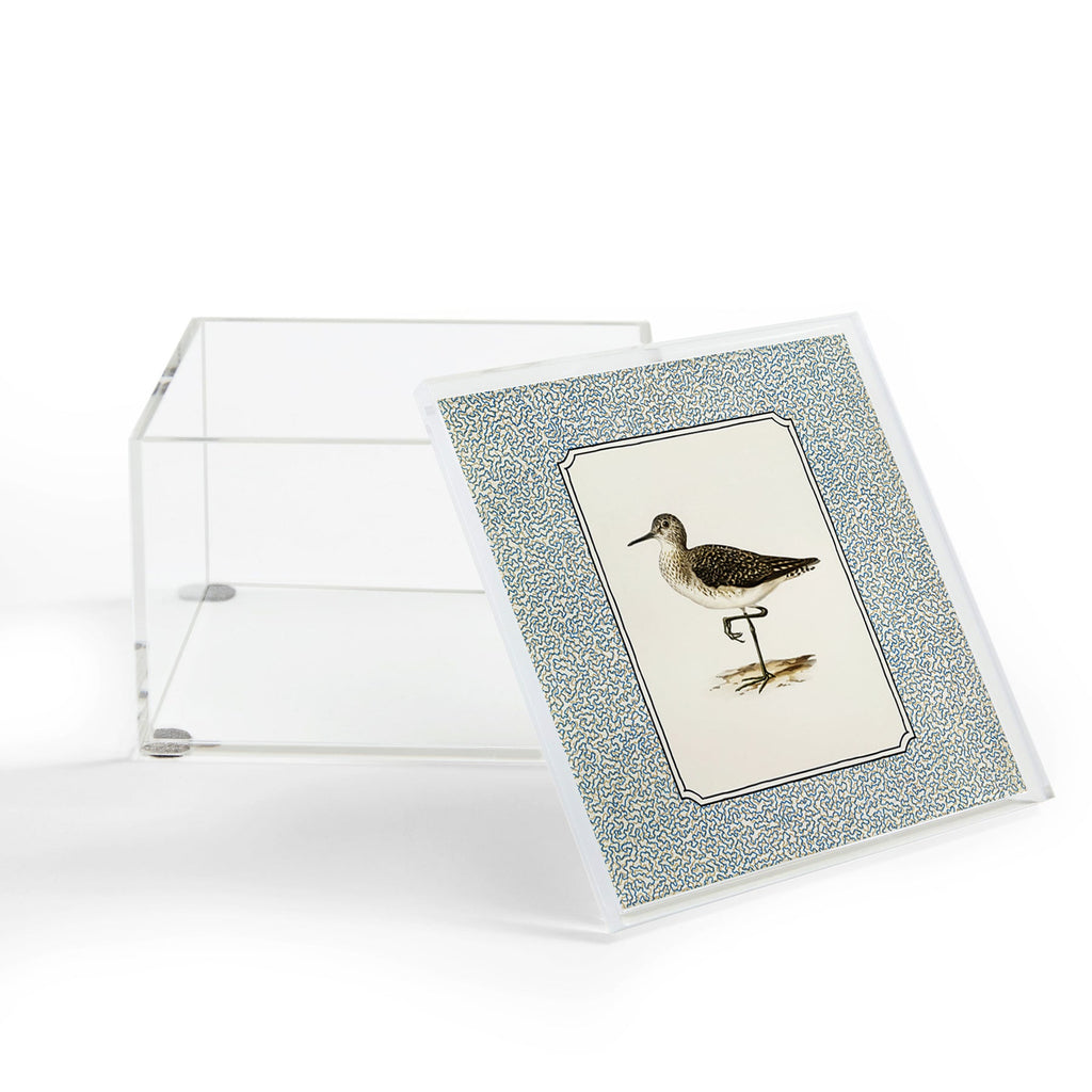 Oh Fine! Art Balancing Sandpiper Acrylic Box