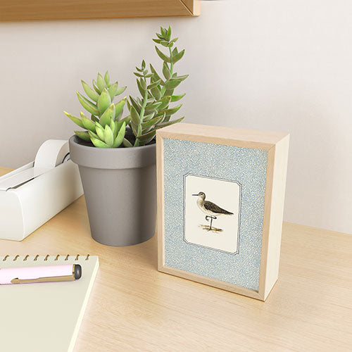 Oh Fine! Art Balancing Sandpiper Framed Mini Art Print