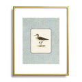 Oh Fine! Art Balancing Sandpiper Metal Framed Art Print