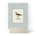 Oh Fine! Art Balancing Sandpiper Mini Art Print
