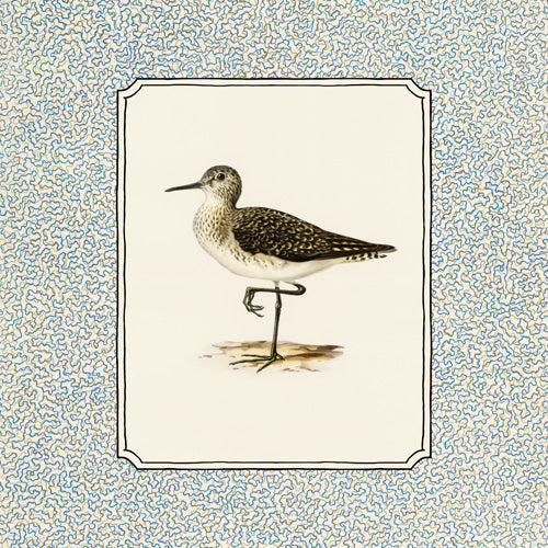 Oh Fine! Art Balancing Sandpiper Shower Curtain