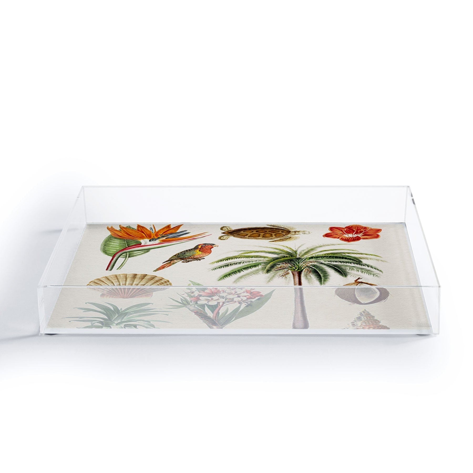 Gal Design Hawaii Collection Acrylic Tray