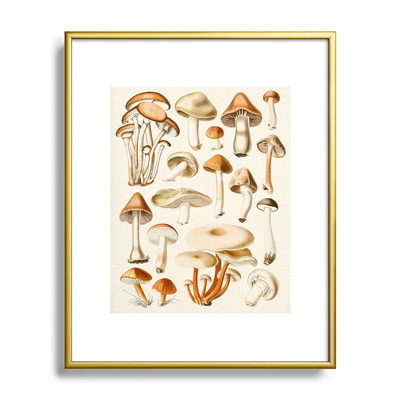 Gal Design Mushrooms Collection Metal Framed Art Print