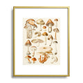 Gal Design Mushrooms Collection Metal Framed Art Print