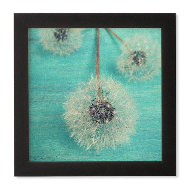Olivia St Claire Three Wishes Framed Wall Art