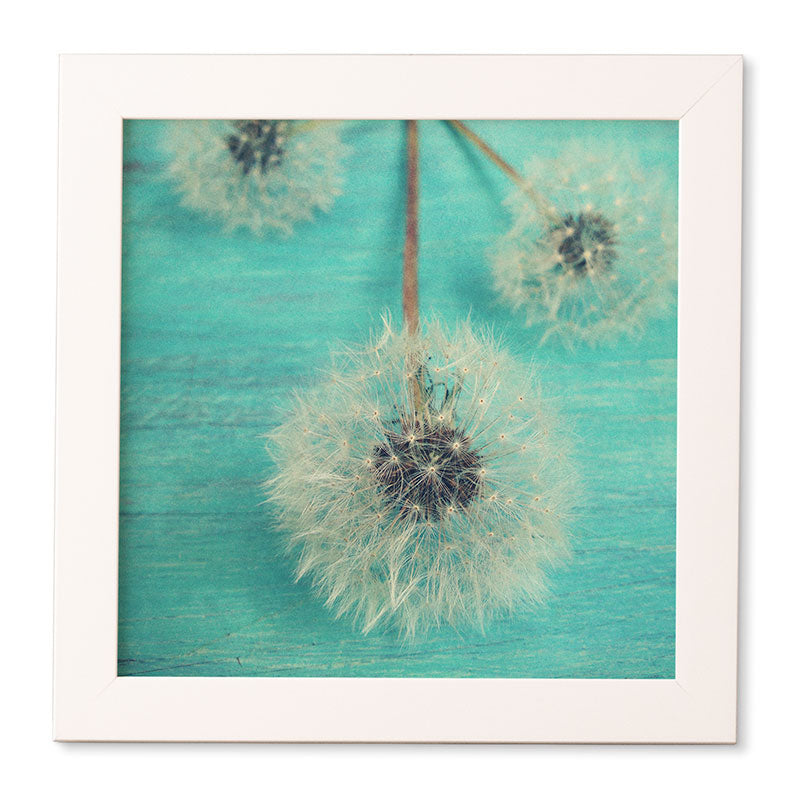 Olivia St Claire Three Wishes Framed Wall Art